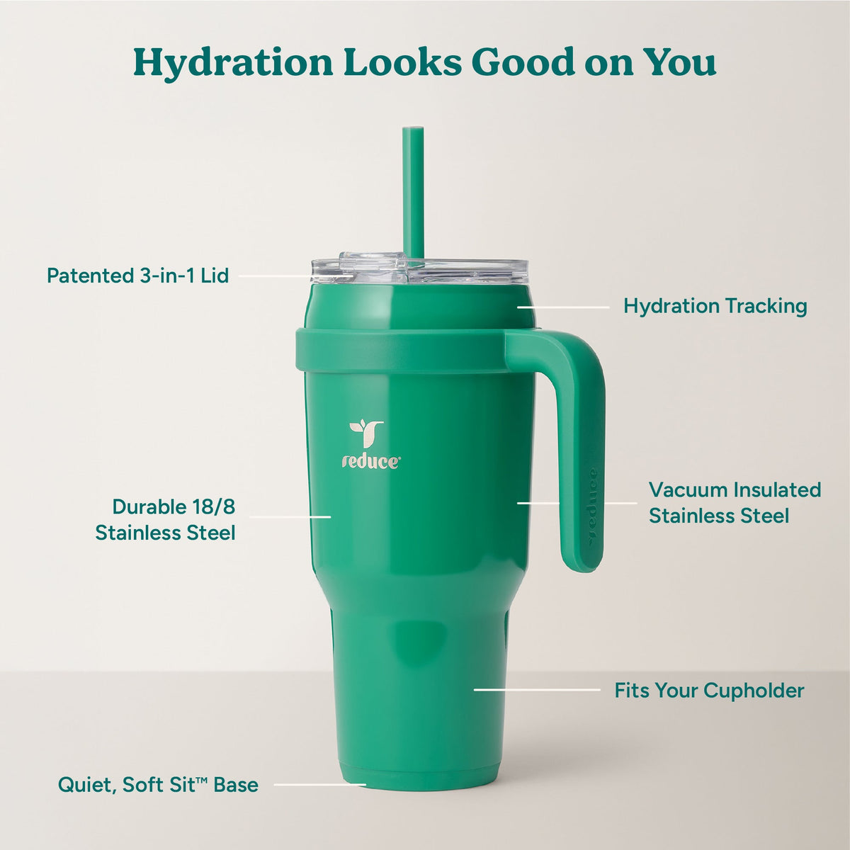 cold1-40-oz-x5 Cold1_40oz_PalmLeaf_Infographic_2.jpg