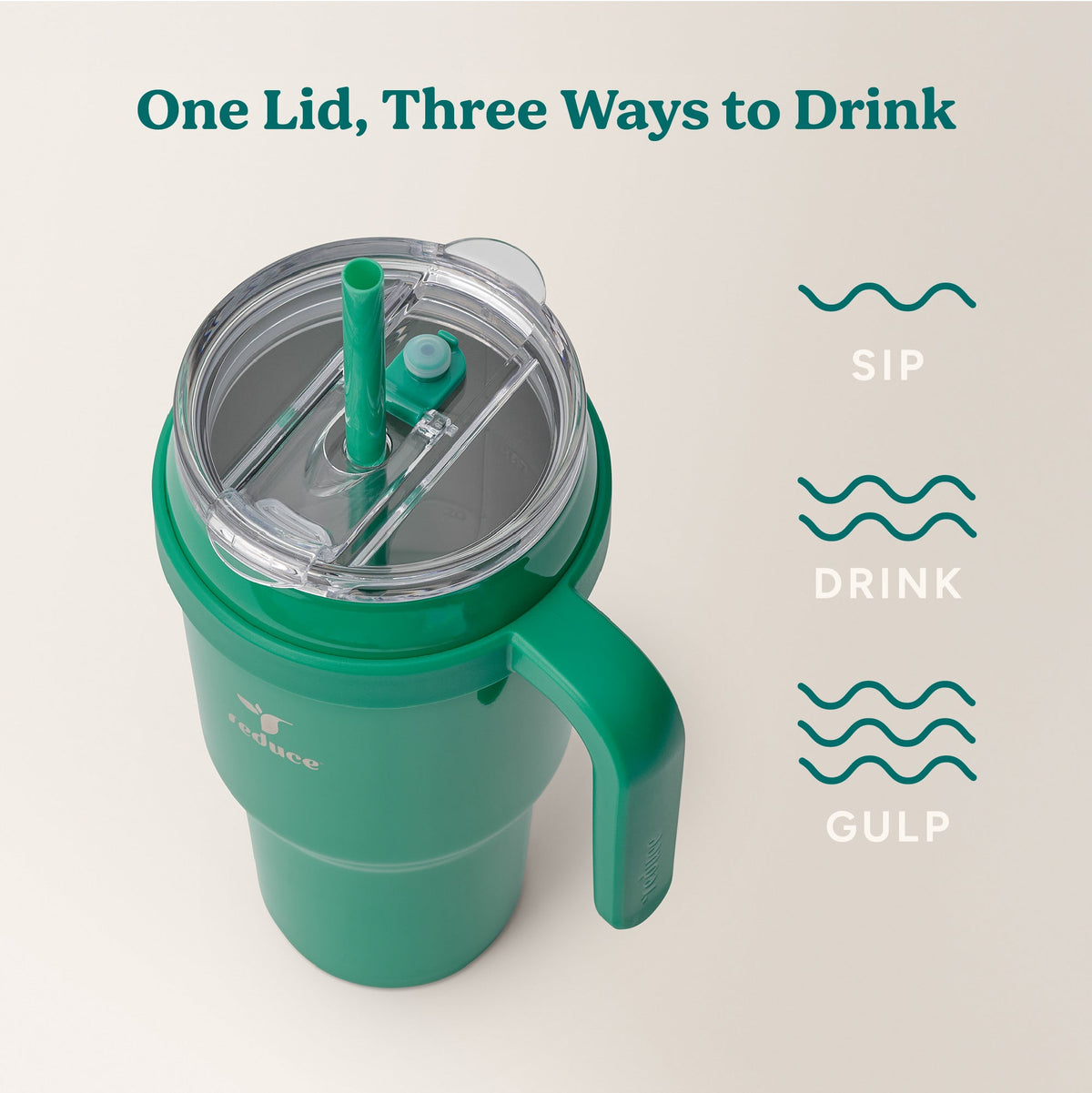 cold1-40-oz-x5 Cold1_40oz_PalmLeaf_Infographic_3.jpg