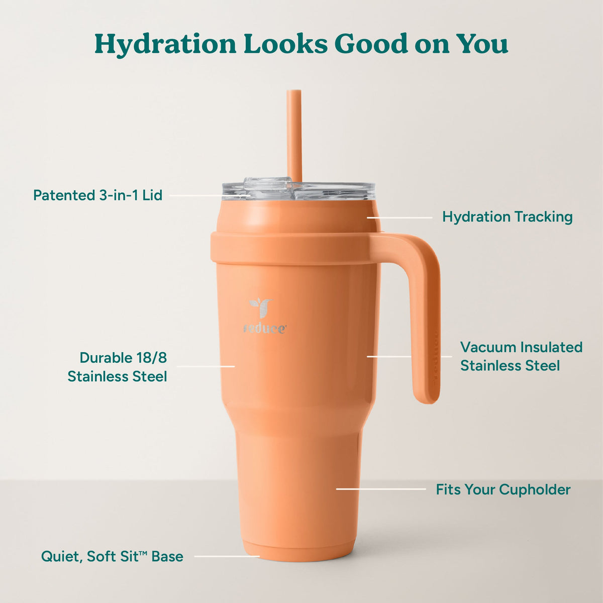 cold1-40-oz-x5 Cold1_40oz_Papaya_Infographic_2.jpg