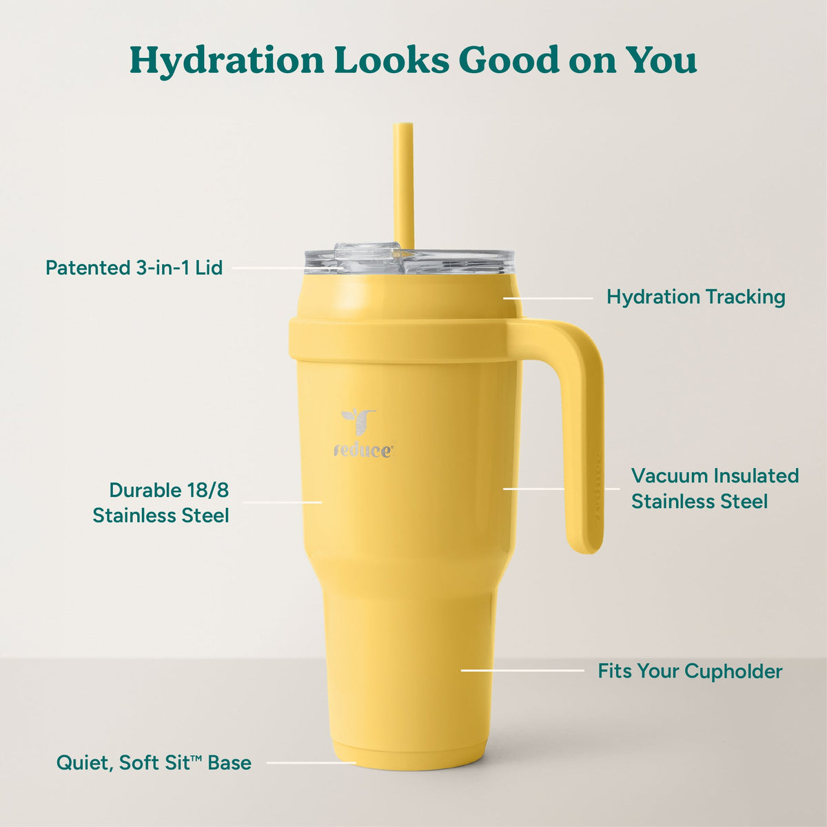 cold1-40-oz-x5 Cold1_40oz_Pineapple_Infographic_2.jpg